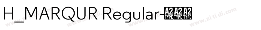 H_MARQUR Regular字体转换